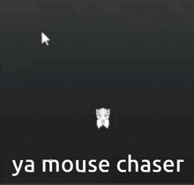a computer screen with a mouse cursor and the words ya mouse chaser