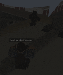 a screenshot of a video game where a person says " i want warmth of a woman "