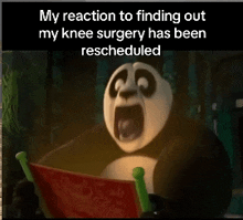 a panda bear is reading a book with a caption that says my reaction to finding out my knee surgery has been rescheduled