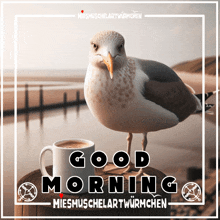 a seagull is standing next to a cup of coffee that says good morning on it