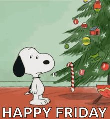 snoopy is standing in front of a christmas tree with a candy cane and says happy friday
