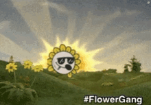 a cartoon sunflower wearing sunglasses is standing in a field with flowers .