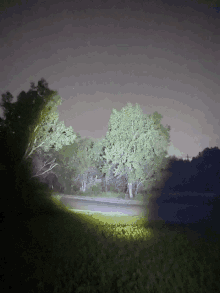 a flashlight is shining on trees in a dark forest