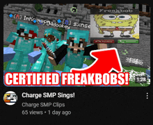 a screenshot of a video that says ' certified freakbobs '