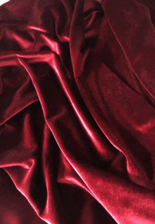 a close up of a red velvet fabric with a white background