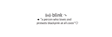 a person who loves and protects blackpink at all costs is a blink .