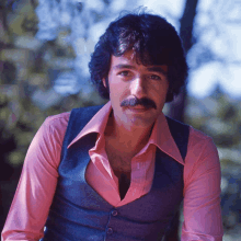 a man with a pink shirt and a blue vest