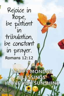 rejoice in hope be patient in tribulation be constant in prayer . romans 12:12