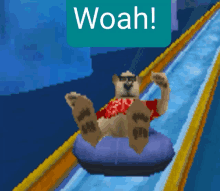 a bear is riding a tube down a water slide with a woah sign above him