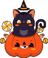 a black cat wearing a witch hat is sitting inside of a pumpkin filled with candy .