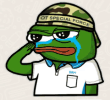 a frog wearing a hat that says ot special force on it