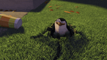 a penguin is sticking its head out of the grass