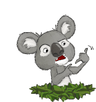 a cartoon drawing of a koala bear giving a thumbs up