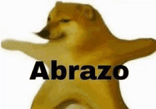 a dog with its arms outstretched and the word abrazo written on its chest .