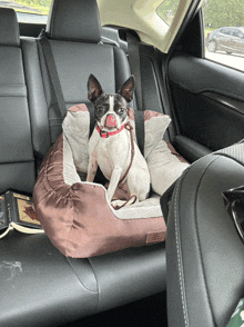 a dog is sitting in the back seat of a car in a dog bed