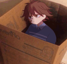 a boy is sitting in a box that says verflo on it