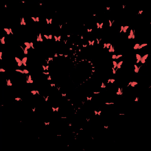 a bunch of red butterflies flying in a spiral on a black background