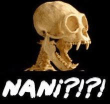 a skull with its mouth open is on a black background next to the word nan .