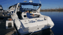 a boat with the name blue moon on the back