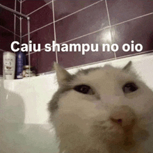 a cat in a bathtub with the words caiu shampu no oio written on it