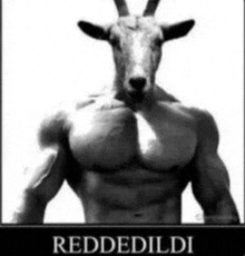 a black and white photo of a man with a goat head and muscles .