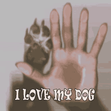 a hand with a paw print and the words i love my dog written below it