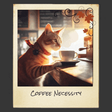 a cat sitting at a counter with a cup of coffee and the words coffee necessity