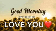 a picture of a field of sunflowers with the words good morning jackson love you