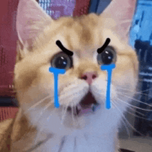 a close up of a cat with tears coming out of its eyes and mouth .