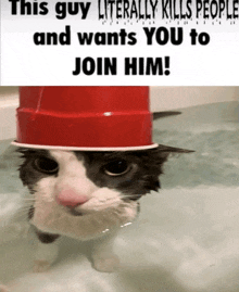 a cat wearing a red cup on its head with the caption " this guy literally kills people "