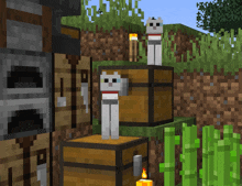 a screenshot of a video game with a cat on top of a wooden chest