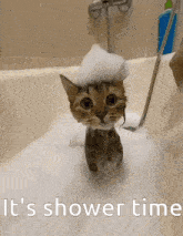 a cat in a bathtub with foam on its head and the words it 's shower time