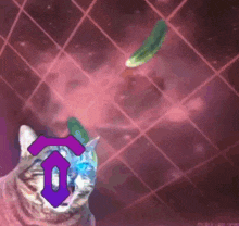 a cat with a purple arrow on its head looks at a pickle