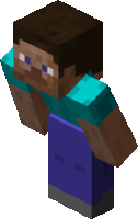 a minecraft character with a blue shirt and pants