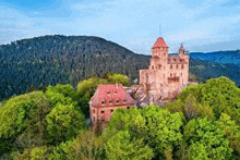 an aerial view of a castle on a hill surrounded by trees .