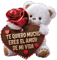 a teddy bear holding a heart that says te quiero mucho