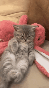 a kitten laying on a couch next to a stuffed animal