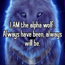 a picture of a wolf with the caption i am the alpha wolf