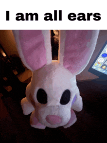 a stuffed bunny says i am all ears