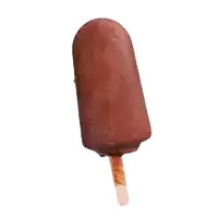 a chocolate covered ice cream bar with a wooden stick