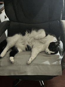 a black and white cat is laying on the back of an office chair