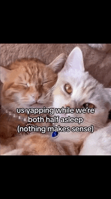 two cats laying next to each other with the caption " us yapping while we 're both half asleep " .