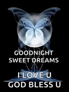 a picture of a butterfly with the words goodnight sweet dreams i love you god bless u