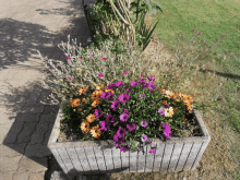 a planter filled with purple and orange flowers on a sidewalk