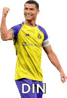 a soccer player in a yellow and purple uniform with the word din on the bottom right