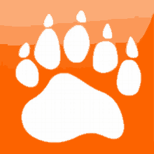 an orange background with a white paw print