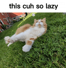 a cat is laying on its back in the grass with the caption " this cuh so lazy "