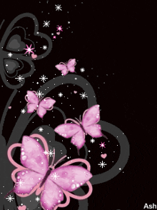 a black background with pink butterflies and the name ash