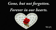 a heart filled with white roses and a red rose with the words gone but not forgotten forever in our hearts below it