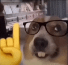 a dog wearing glasses and a yellow hand giving the horns sign .